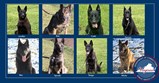 VADOC K9s Anubis, Ben, Cash, Farron, Micky, Rio, Speedy, and Tango